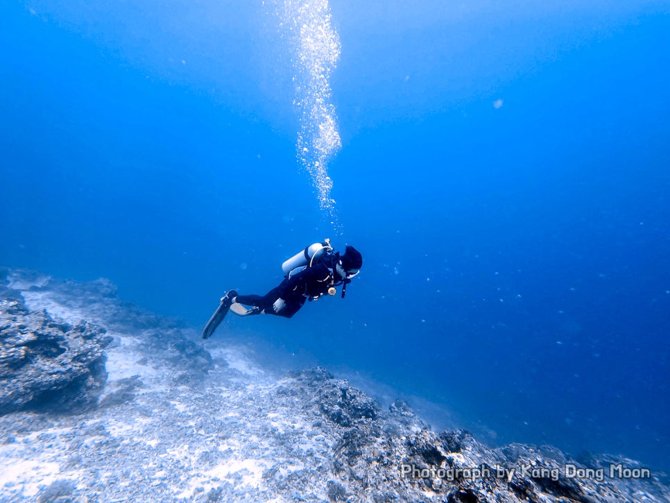 세부 다이빙 리조트 뉴그랑블루 세부 스쿠버다이빙 체험 오픈워터 자격증 취득