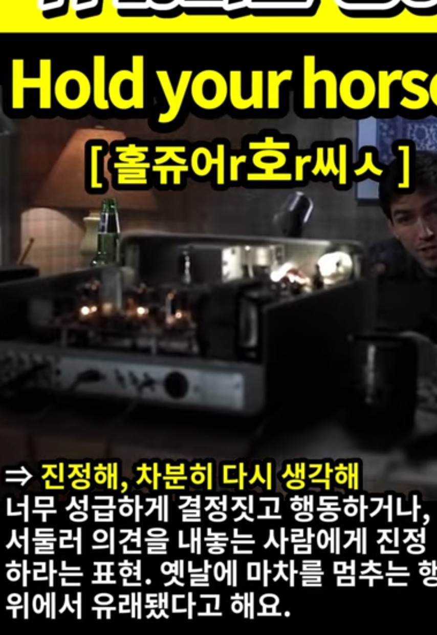 과천 할매와 귀 뚫리는 영어 워워 진정해 [홀쥬어r호r씨ㅅ] Hold your horses