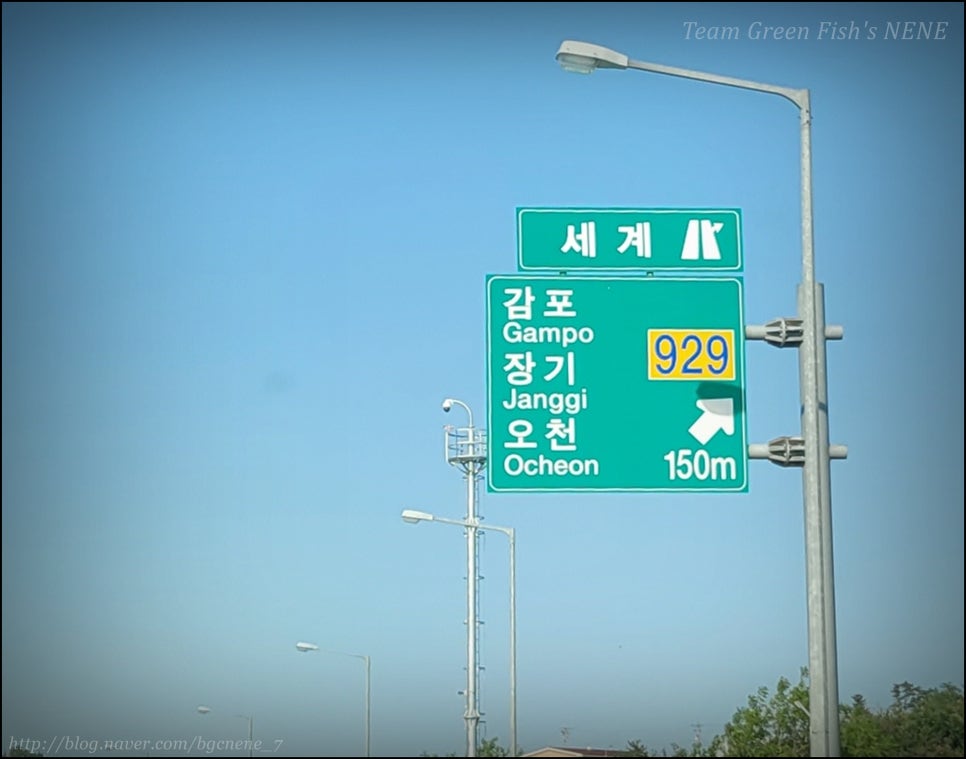 24.05.19 - 경북 포항 남구 오대양낚시프라자 (구룡포 출조 시 미끼 사러 들르는 낚시쇼핑몰 추천)