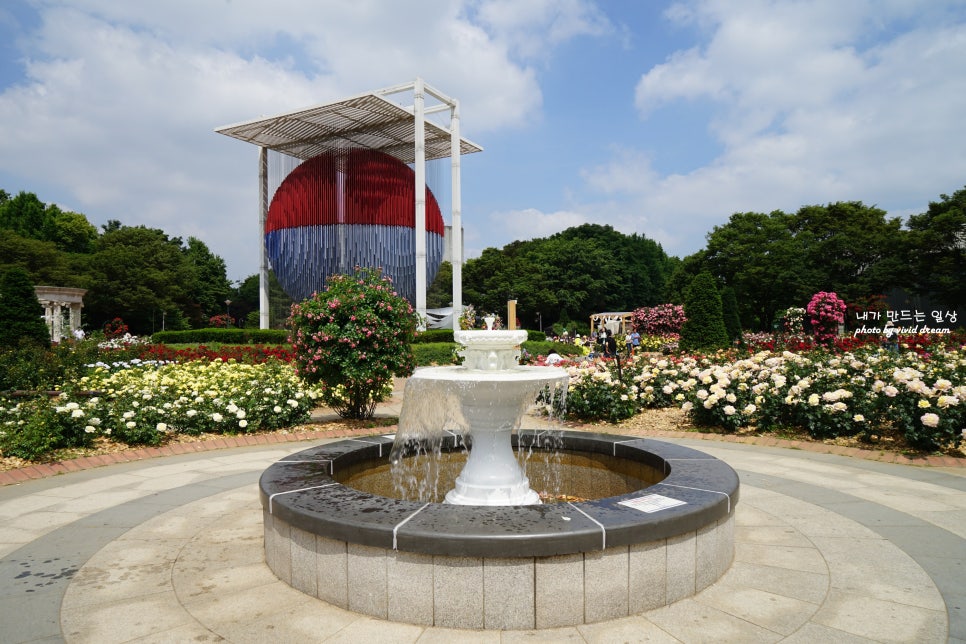 서울 올림픽공원 5월 꽃구경 들꽃마루 유채꽃 양귀비 장미광장 장미축제