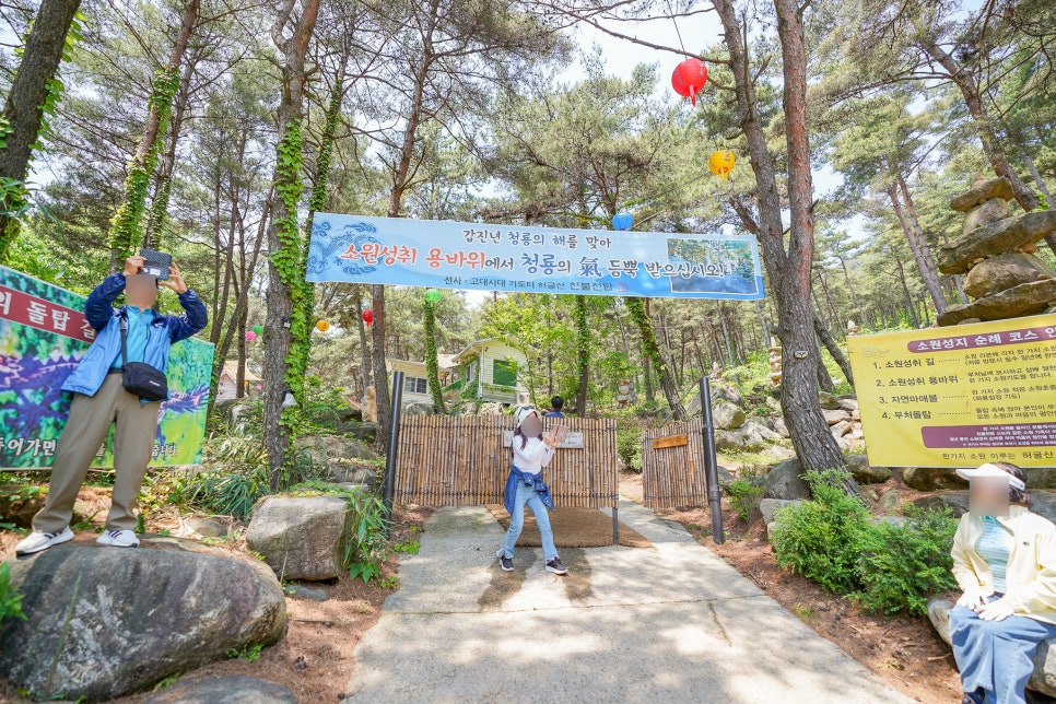 합천 가볼만한곳 경남 사찰 허굴산 천불천탑 핫들생태공원 작약 축제