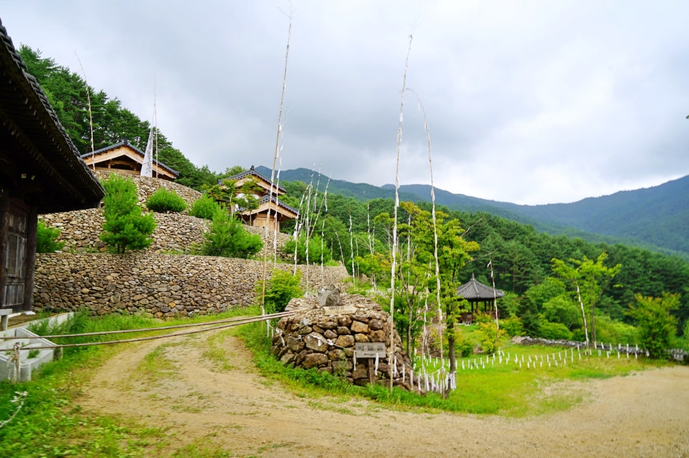 6월 국내여행 추천 하동 가볼만한곳 지리산 청학동 삼성궁 입장료 볼거리