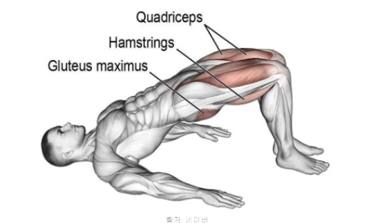 코어 근력 운동 종류 데드버그 힙브릿지 브릿지 자세 여자 남자 하체 다리 운동