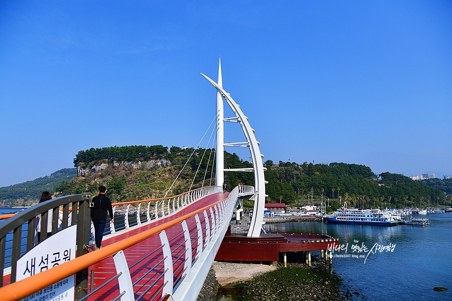 제주도 서귀포 여행코스 제주 여미지식물원 위미항 논짓물 새연교 황우지선녀탕 해안