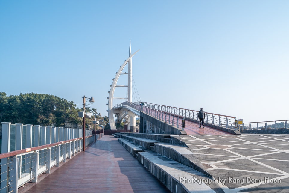 제주도 서귀포 가볼만한곳 제주 관광지도 제주도 서귀포 여행 코스 4박5일 코스