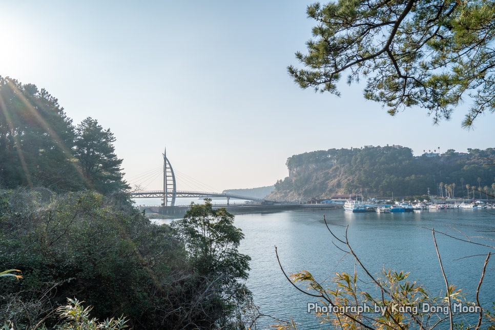 제주도 서귀포 가볼만한곳 제주 관광지도 제주도 서귀포 여행 코스 4박5일 코스