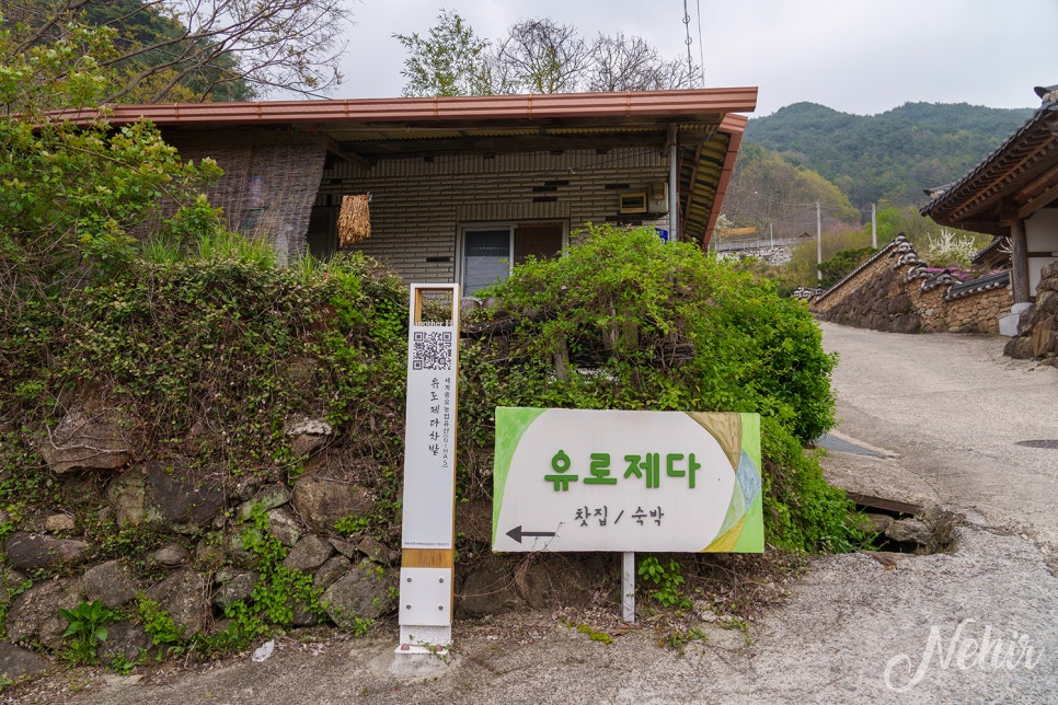 하동 펜션 감성숙소 유로제다 2층 하동 녹차밭 숙박