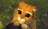 슈렉 5 제작 결정 보는 순서 시리즈 장화신은 고양이 다시보기 OTT