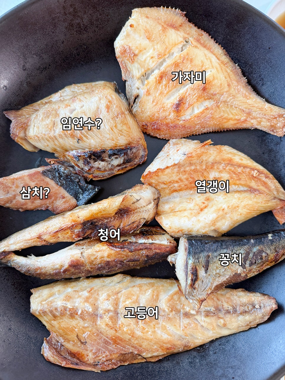 속초해수욕장 인근 생선구이 맛집 <속초생생구이>