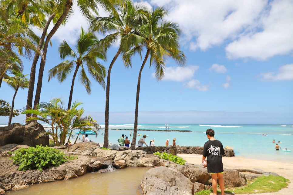 하와이 여행 입국심사와 준비물, 하와이 이심 유심 사용 후기 말톡