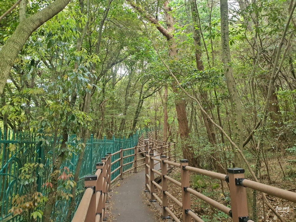 제주도 서귀포 가볼만한곳 돈내코 유원지 제주 원앙폭포