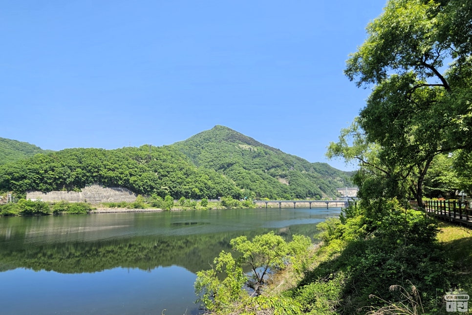 대전 싱그러운 봄날의 대청호를 즐기는 방법_금강로하스대청공원과 대청댐 전망대
