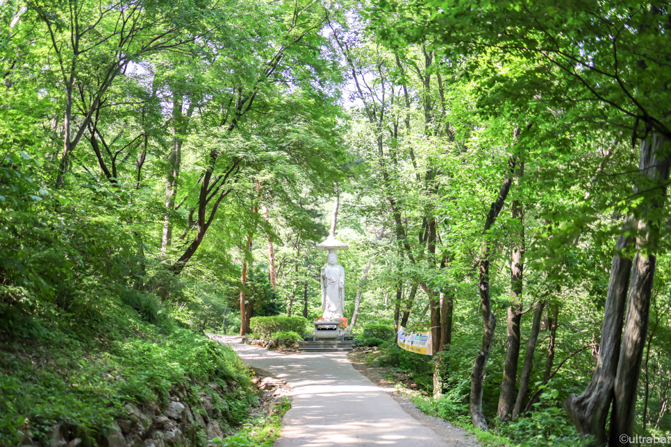 경기도 경치좋은곳 운길산 수종사 절 데이트 코스 남양주 갈만한곳