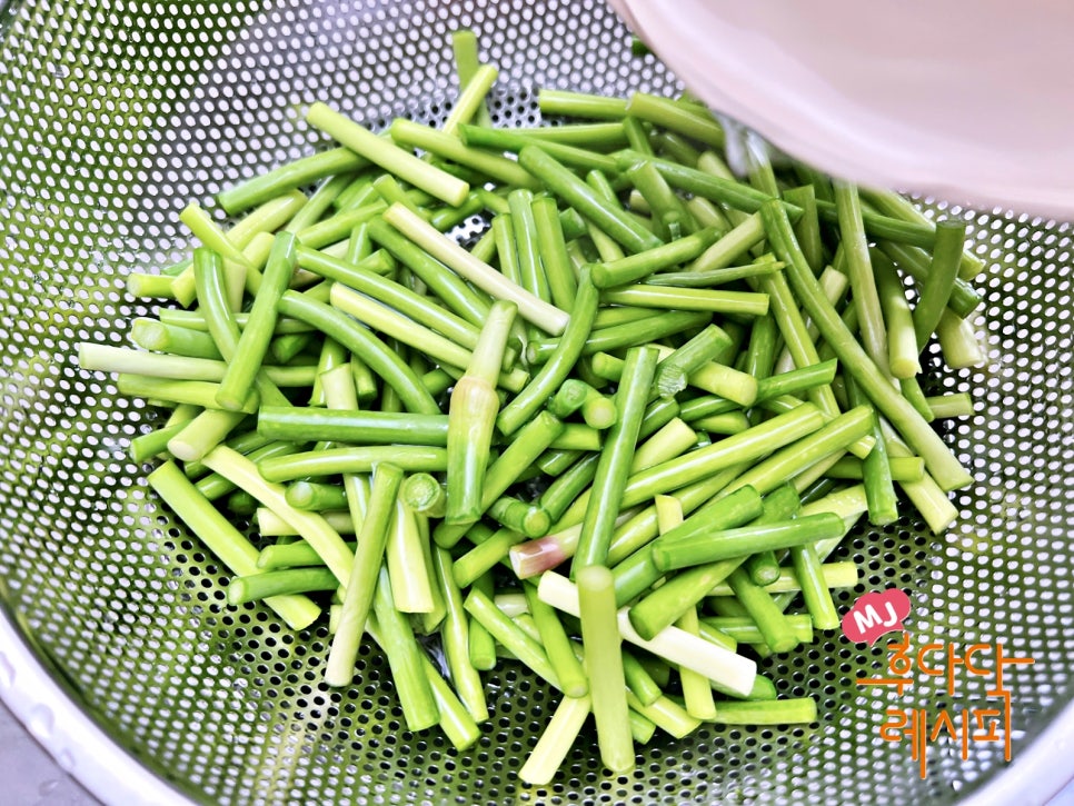 마늘쫑 장아찌 담그는법 간장 마늘쫑장아찌 만들기