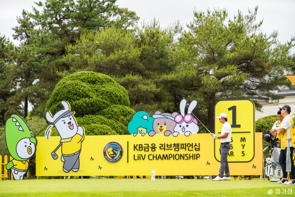KB금융 리브 챔피언십 남자 골프대회 갤러리 후기
