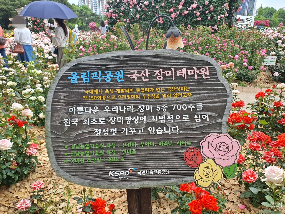 서울 올림픽공원 장미축제 장미광장 꽃구경 6월 서울 가볼만한곳