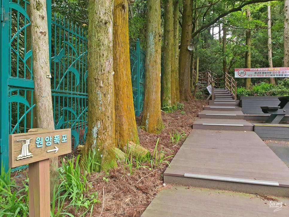 제주도 서귀포 가볼만한곳 돈내코 유원지 제주 원앙폭포