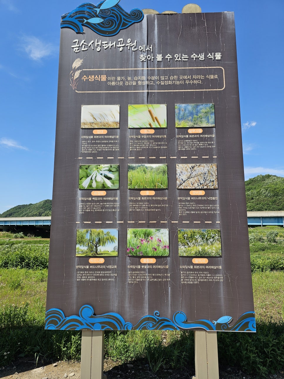 안동 금소생태공원 안동차박 노지캠핑하는 곳이 아닙니다.