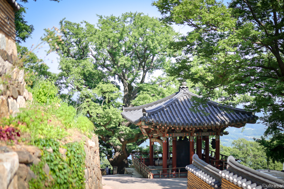 경기도 운길산 등산코스 데이트 등산 하기 좋은 서울근교 산