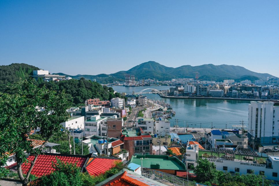 통영 여행 코스, 6월 수국 명소부터 야경까지 뚜벅이 여행 코스