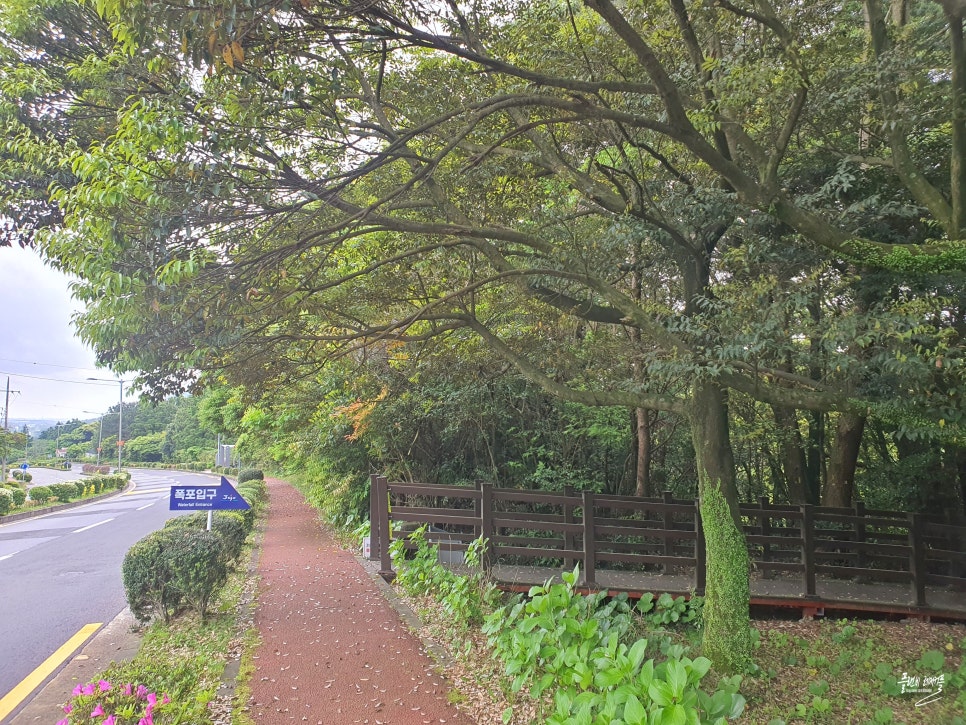 제주도 서귀포 가볼만한곳 돈내코 유원지 제주 원앙폭포