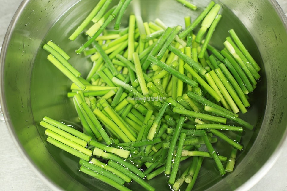 마늘쫑 장아찌 담그는법 간장 마늘쫑장아찌 만들기