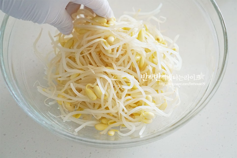 콩나물무침 레시피 하얀 콩나물무침 참치액