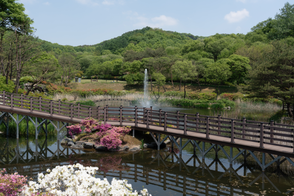 충북 진천 여행 코스, 신규 관광지부터 숲속 트레킹까지 알차게 즐기는 6월 당일치기 여행