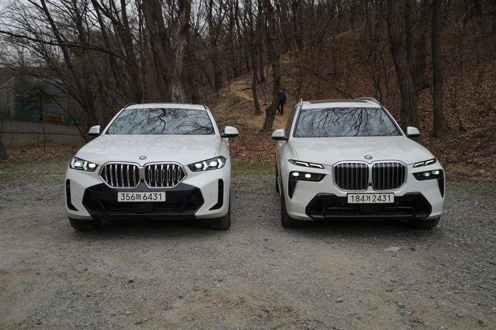 BMW X7 vs X6 SUV 그리고 가솔린 vs 디젤 당신의 선택은? (30d,40i,M60i)