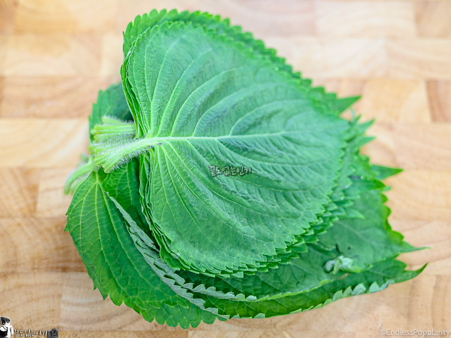 백종원 깻잎김치 만드는법 깻잎 양념장 간장 깻잎찜 입맛도는 깻잎반찬