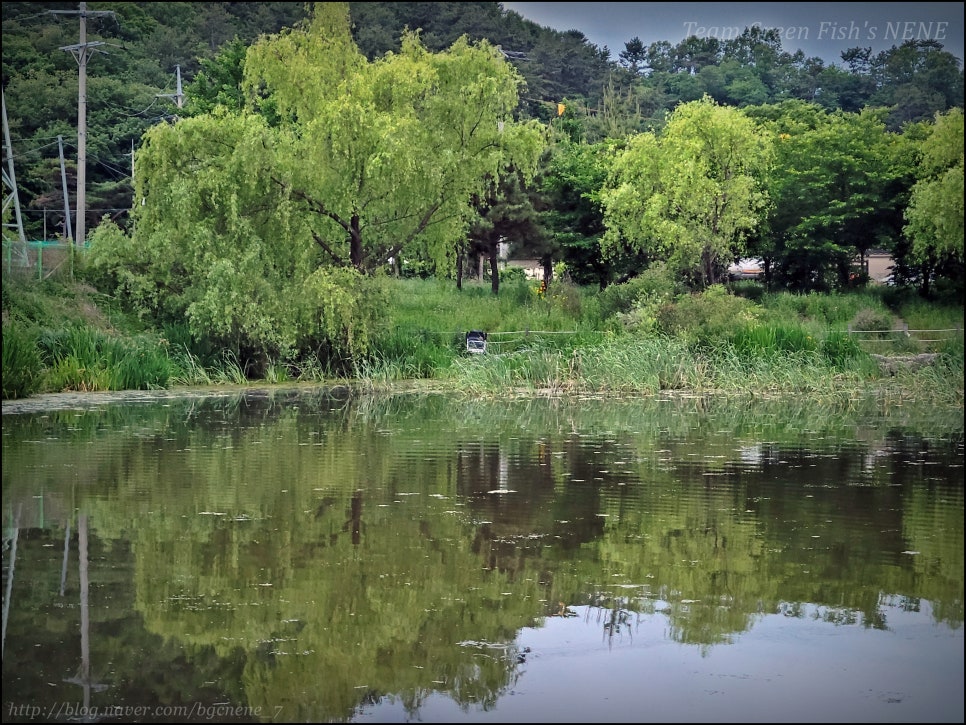 24.05.25 - 울산 남구 상개저수지 (바쁜 일상 속 잠시 해보는 짬낚시의 진리! 배스 루어 낚시)