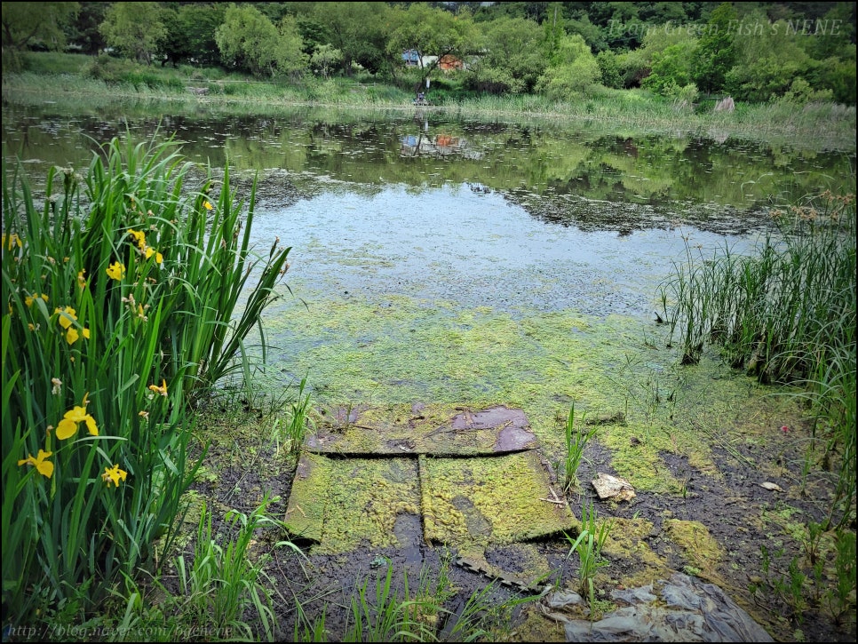 24.05.25 - 울산 남구 상개저수지 (바쁜 일상 속 잠시 해보는 짬낚시의 진리! 배스 루어 낚시)