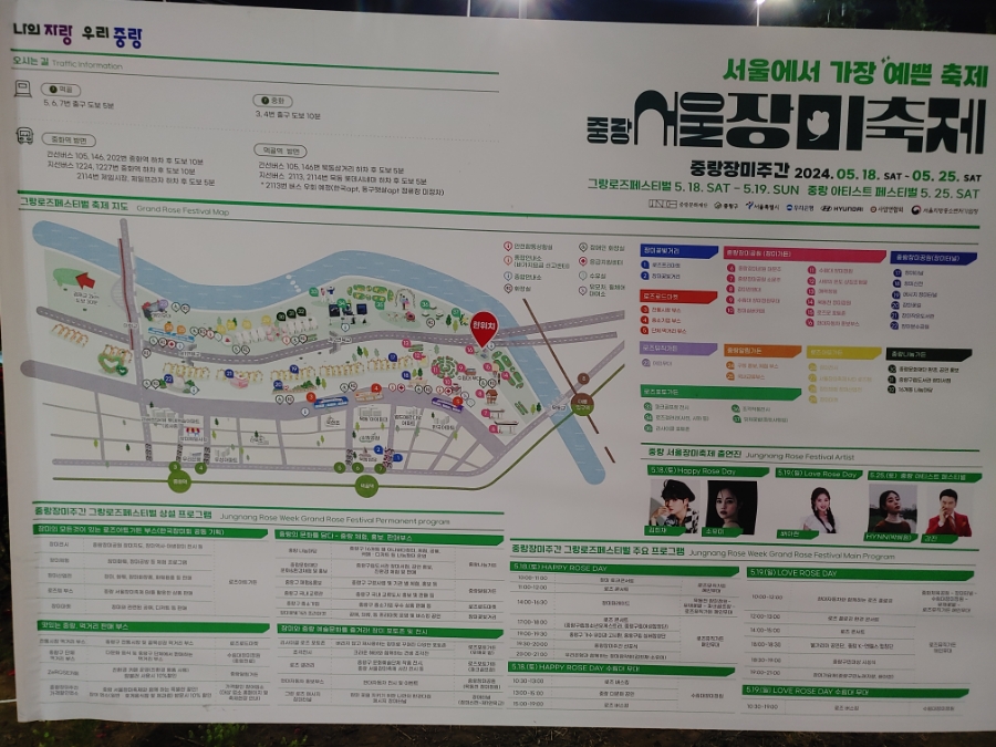 [2024 서울장미축제] 중랑장미공원 밤 산책. 낮과 다른 색을 보여주는 장미들