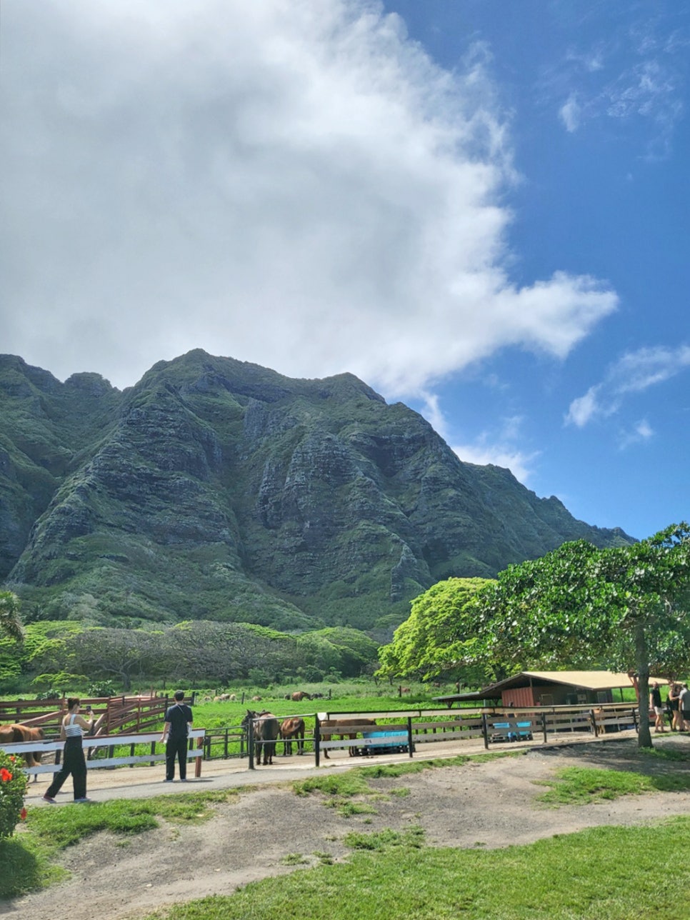 하와이 여행 입국심사와 준비물, 하와이 이심 유심 사용 후기 말톡