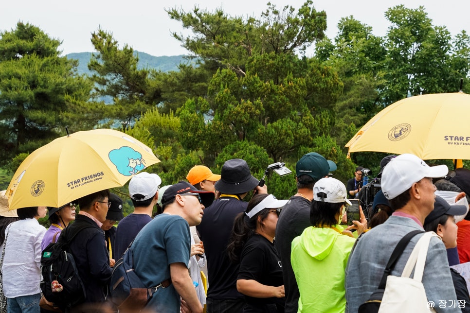 KB금융 리브 챔피언십 남자 골프대회 갤러리 후기