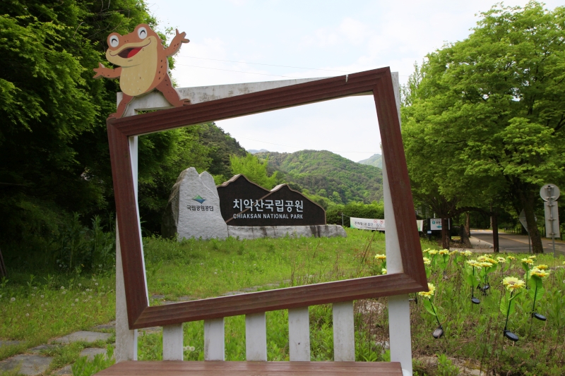 [치악산국립공원] 5월 가정의 달 온 가족이 산책하기 좋은 탐방로 치악산 구룡사 숲길 산책