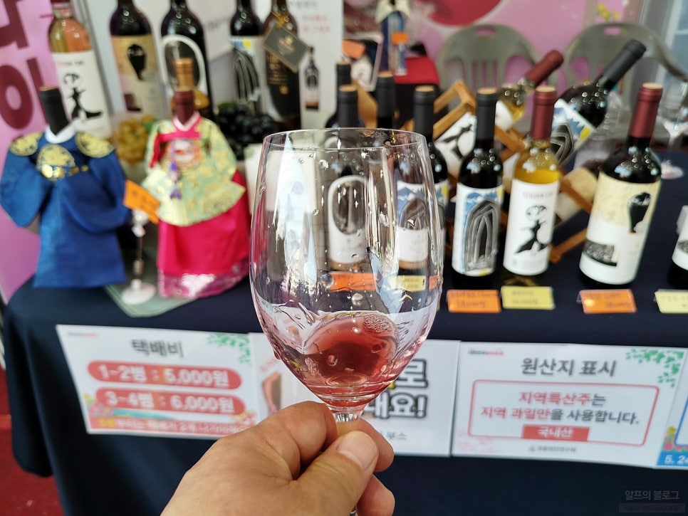 2024 영동와인축제 대한민국 와인이 한곳에!