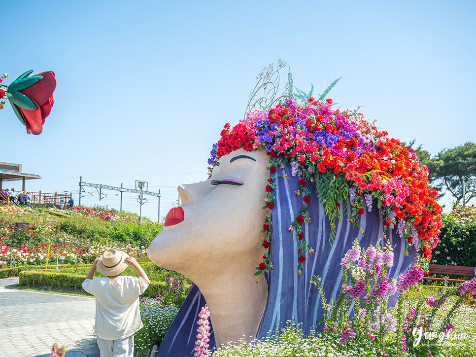 곡성 가볼만한곳 곡성 기차마을 장미공원 곡성 세계 장미축제