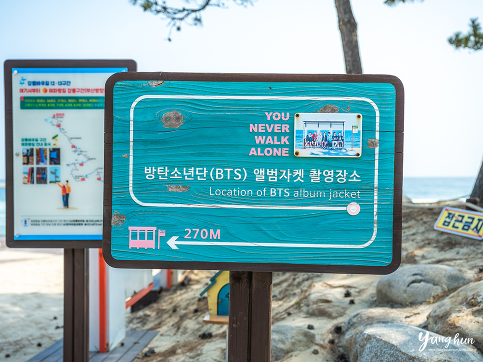 주문진 갈만한곳 주문진해수욕장 향호해변 BTS 버스 정류장