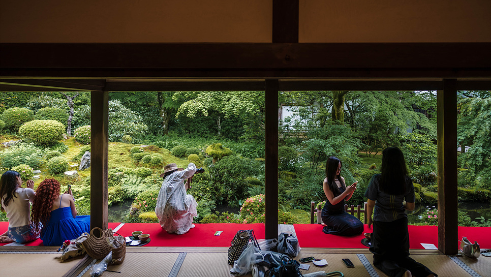 일본 교토 여행 간사이쓰루패스 타고 다녀온 짙푸른 여름 색의 산젠인