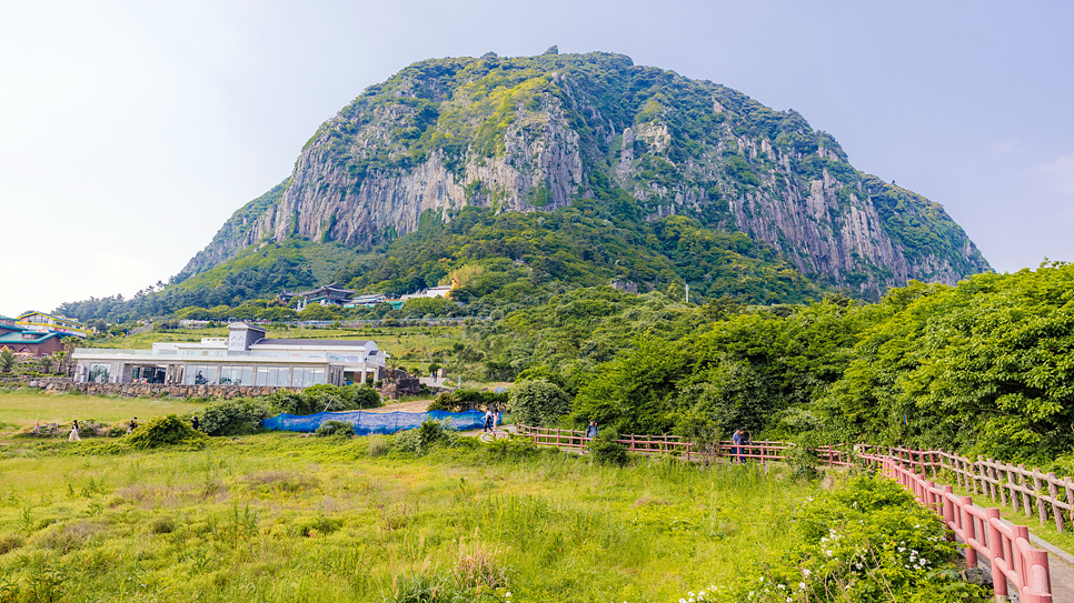 제주 용머리해안 산방산 산책 하고, 제주도먹방여행 칼국수 냠냠