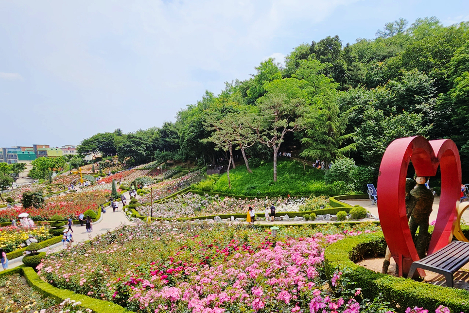 부천 가볼만한곳 부천 장미축제 백만송이장미축제 장미공원 꽃구경