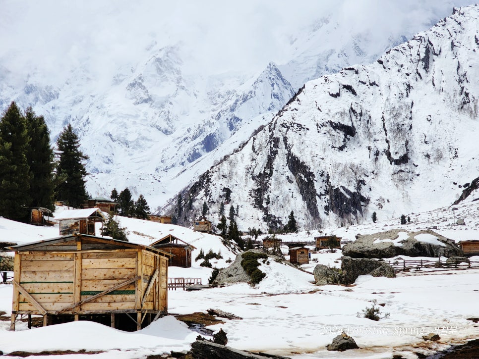 [파키스탄 살구꽃 여행-19] 눈 내리는 베얄 캠프(페어리 메도우↔베얄 캠프) 2024.04.08-05.07(30)