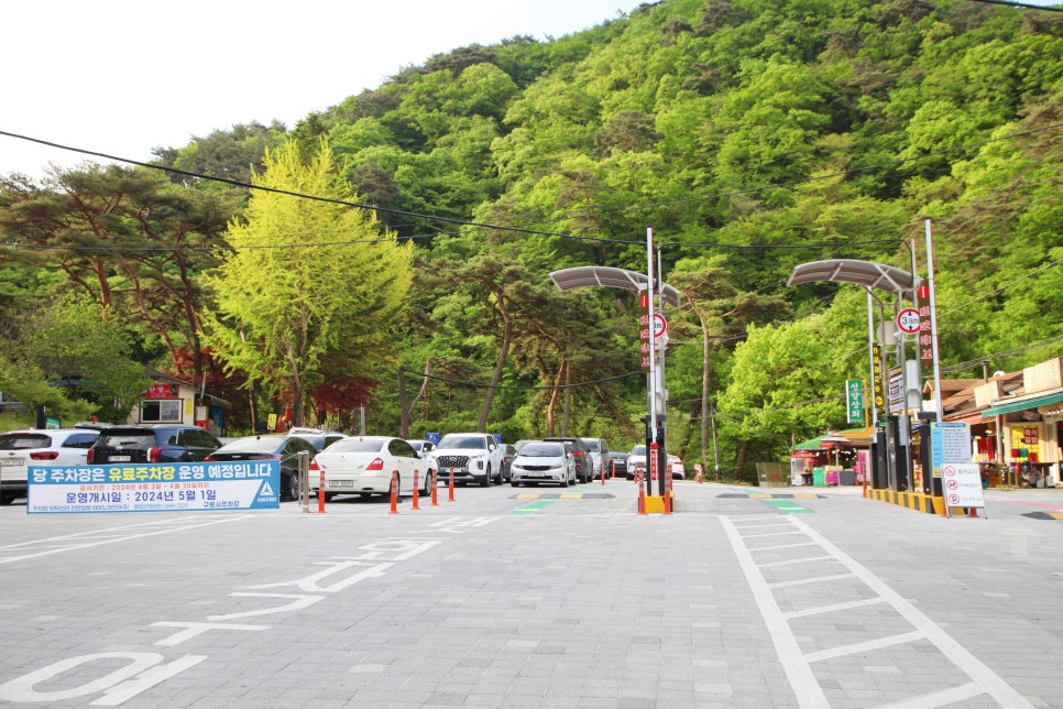 [치악산국립공원] 5월 가정의 달 온 가족이 산책하기 좋은 탐방로 치악산 구룡사 숲길 산책