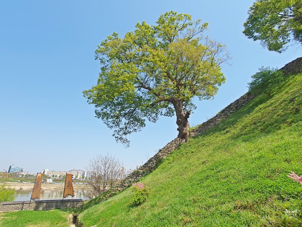 공주 가볼만한곳 공주 공산성 데이트 공주 여행코스 볼거리 공주산성