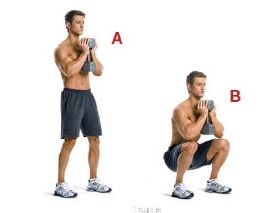 스쿼트 효과 덤벨 고블릿스쿼트 자세 초보 여자 하체 다리 근육 강화 운동 종류