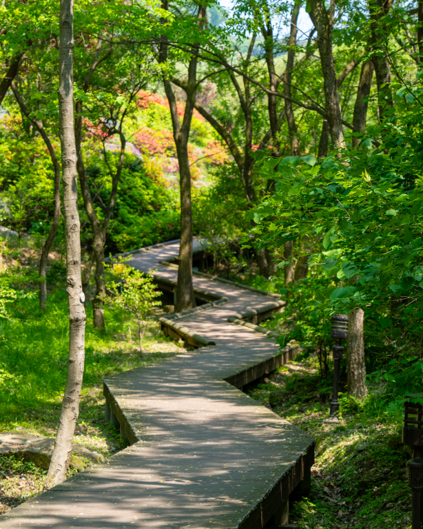 충북 진천 여행 코스, 신규 관광지부터 숲속 트레킹까지 알차게 즐기는 6월 당일치기 여행