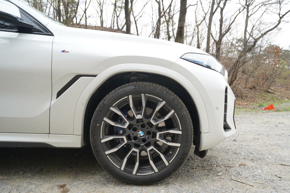 BMW X7 vs X6 SUV 그리고 가솔린 vs 디젤 당신의 선택은? (30d,40i,M60i)