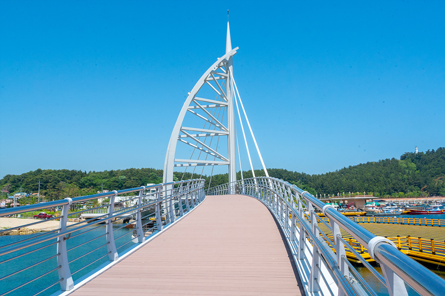 강원도 양양 가볼만한곳 동해안 양양 수산항 동호해변 동호해수욕장