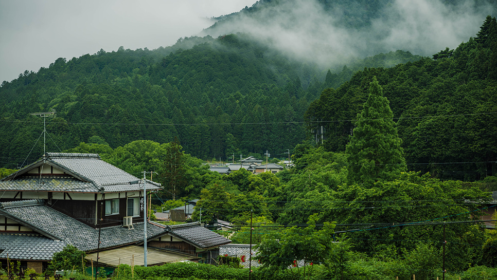 일본 교토 여행 간사이쓰루패스 타고 다녀온 짙푸른 여름 색의 산젠인